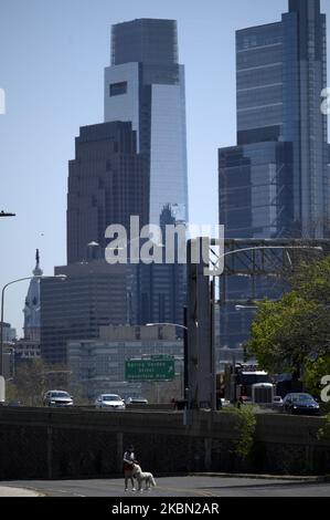 Un cane camminatore è visto su East River Drive, con il centro città di Philadelphia, PA skyline sullo sfondo il 28 aprile 2020. Nonostante l'ordine di soggiorno a casa in tutto lo stato ancora in vigore, il clima primaverile attira centinaia di esercizi all'aperto. (Foto di Bastiaan Slabbers/NurPhoto) Foto Stock