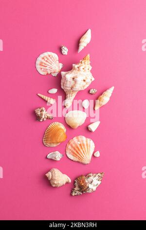 Vista dall'alto della collezione di conchiglie disposte su sfondo rosa brillante. Concetto estivo. Foto Stock