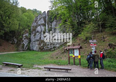 I turisti che guardano la mappa degli itinerari turistici di fronte alla formazione rocciosa della porta di Cracovia nel Parco Nazionale di Ojcow (Parco Ojcowski Narodowy ) sono visti vicino a Ojcow, Polonia , il 3 maggio 2020 il Parco Ojcowski Narodowy è il più piccolo parco nazionale della Polonia, con una superficie di 21,46 km2, Situato nel sud del paese. (Foto di Michal Fludra/NurPhoto) Foto Stock