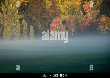 Francia, Lione, 2022-10-19. Una mattinata misteriosa in un parco con alberi di colore autunnale. Foto Stock