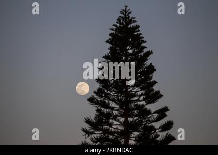 La luna piena sulla città di Deir al-Balah nella striscia centrale di Gaza, il 6 maggio 2020. (Foto di Sameh Rahmi/NurPhoto) Foto Stock