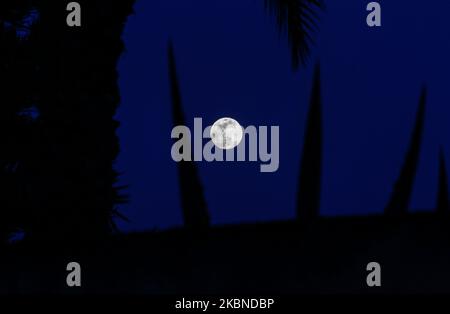 La luna piena sulla città di Deir al-Balah nella striscia centrale di Gaza, il 6 maggio 2020. (Foto di Sameh Rahmi/NurPhoto) Foto Stock