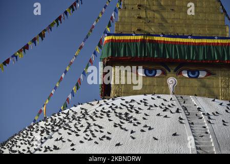 Una vista di Boudhanath Stupa vuoto, un sito patrimonio dell'umanità dell'UNESCO durante il 2.564 ° Buddha Purnima festival, anniversario di nascita di Lord Gautam Buddha celebrato durante il blocco in tutta la nazione per quanto riguarda la diffusione del virus Corona (COVID-19) a Kathmandu, Nepal Giovedi, 07 maggio 2020. Buddisti in tutto il mondo, Cambogia; Thailandia; Myanmar; Bhutan; Sri Lanka; Laos; Mongolia; Giappone; Singapore; Taiwan compreso il Nepal, osservare il Buddha Purnima festival che cade lo stesso giorno della luna piena del calendario del mese. (Foto di Narayan Maharjan/NurPhoto) Foto Stock