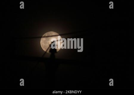 Una luna piena sorge sopra la reggenza di Bekasi, provincia di Giava Occidentale il 7 Maggio 2020. Questa luna piena, conosciuta anche a maggio come Super Flower Moon è l'ultima superluna dell'anno. (Foto di Aditya Irawan/NurPhoto) Foto Stock