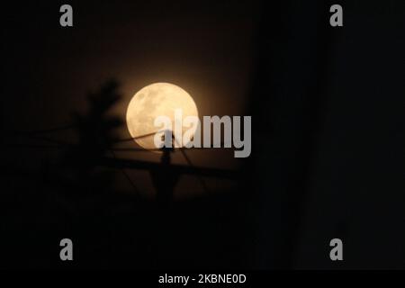 Una luna piena sorge sopra la reggenza di Bekasi, provincia di Giava Occidentale il 7 Maggio 2020. Questa luna piena, conosciuta anche a maggio come Super Flower Moon è l'ultima superluna dell'anno. (Foto di Aditya Irawan/NurPhoto) Foto Stock