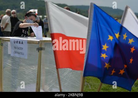 Un attivista del Comitato per la Difesa della democrazia (KOD) esprime il suo voto durante una finta elezione al Blonia Park di Cracovia. Le elezioni si sono svolte oggi, ma sono state sospese in seguito a un dibattito su come e quando si poteva votare in modo sicuro durante la pandemia di coronavirus. Il governo aveva proposto un voto a carattere postale, ma le critiche al piano e i complicati preparativi hanno portato al rinvio annunciato solo mercoledì scorso. Domenica 10 maggio 2020 a Cracovia, Polonia. (Foto di Artur Widak/NurPhoto) Foto Stock