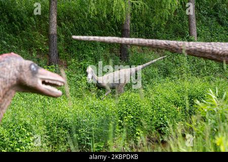 Un modello di Troodon è visto nel parco divertimenti dei dinosauri a Baltow, Polonia, il 29 maggio 2020. Il popolare complesso ospita solitamente centinaia di turisti ogni giorno. Durante il blocco pandemico Baltow complesso è stato costretto a chiudere le sue attività e riapre parzialmente mentre blocco lentamente facilita. (Foto di Dominika Zarzycka/NurPhoto) Foto Stock