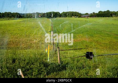 A causa della siccità persistente, gli agricoltori utilizzano impianti sprinkler per irrigare i propri campi, nei Paesi Bassi, il 31st maggio 2020. (Foto di Romy Arroyo Fernandez/NurPhoto) Foto Stock