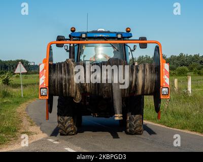 A causa della siccità persistente, gli agricoltori utilizzano impianti sprinkler per irrigare i propri campi, nei Paesi Bassi, il 31st maggio 2020. (Foto di Romy Arroyo Fernandez/NurPhoto) Foto Stock