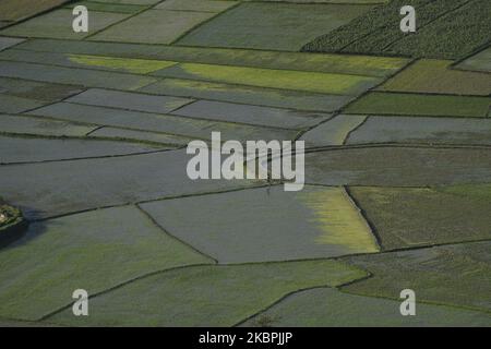 Una vista aerea degli agricoltori nepalesi che lavorano nel campo del riso durante il blocco in corso a livello nazionale per quanto riguarda la diffusione del virus Corona (COVID-19) a Bhaktapur, Nepal Lunedi, 01 giugno 2020. L'agricoltura rimane un'attività economica importante per il paese senza sbocco sul mare, con grano e riso come principali colture alimentari. (Foto di Narayan Maharjan/NurPhoto) Foto Stock