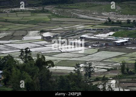 Una vista aerea degli agricoltori nepalesi che piantano piantine di riso durante il blocco in corso a livello nazionale per quanto riguarda la diffusione del virus Corona (COVID-19) a Bhaktapur, Nepal Lunedi, 01 giugno 2020. L'agricoltura rimane un'attività economica importante per il paese senza sbocco sul mare, con grano e riso come principali colture alimentari. (Foto di Narayan Maharjan/NurPhoto) Foto Stock