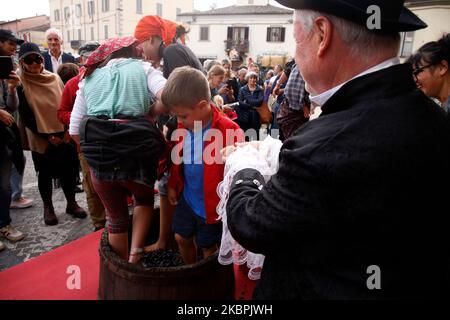 Novafeltria: Festa dell'Italia Emilia Romagna Novafeltria: Festa della vendemmia e dei frutti d'autunno Pigiatura dell'uva da parte dei bambini| Italia Emilia Romagna Novafeltria: Festa della vendemmia e della frutta - in autunno - pigiatura dell'uva da parte della vendemmia childrena e dei frutti d'autunno pigiotti da parte dell'uva dei pigibini Foto Stock