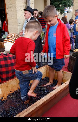 Novafeltria: Festa dell'Italia Emilia Romagna Novafeltria: Festa della vendemmia e dei frutti d'autunno Pigiatura dell'uva da parte dei bambini| Italia Emilia Romagna Novafeltria: Festa della vendemmia e della frutta - in autunno - pigiatura dell'uva da parte della vendemmia childrena e dei frutti d'autunno pigiotti da parte dell'uva dei pigibini Foto Stock