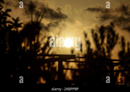 Il sole sorge dietro gli alberi nella parte orientale della striscia di Gaza, il 05 giugno 2020. (Foto di Sameh Rahmi/NurPhoto) Foto Stock