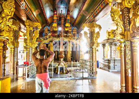 Il devoto indù del Tamil offre preghiere al tempio indù di Arul Eswari Muthumariamman a Jaffna, Sri Lanka, il 15 agosto 2017. (Foto di Creative Touch Imaging Ltd./NurPhoto) Foto Stock