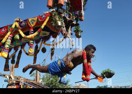 Il devoto indù Tamil esegue il rituale para-kavadi mentre è sospeso da ganci spinti nella sua schiena e gambe e rimbalzato su e giù come atto di penitenza durante il Vinayagar Ther Thiruvizha Festival in Ontario, Canada. (Foto di Creative Touch Imaging Ltd./NurPhoto) Foto Stock