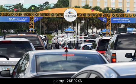 Visitors to SeaWorld Orlando are seen at the theme park's entrance as the attraction reopens after closing in March due to the coronavirus pandemic on June 11, 2020 in Orlando, Florida, USA. All guests are required to wear face masks and submit to temperature checks. (Photo by Paul Hennessy/NurPhoto) Stock Photo