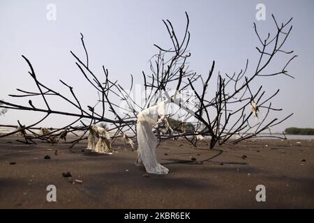I rifiuti di plastica sono visti scarsi nel tronco di mangrovia dopo essere stati trasportati dalle onde del mare e bloccati a Pantai Bahagia, distretto di Muara Gembong, bekasi regency, provincia di Giava Occidentale, il 13 giugno, 2020. Secondo i rapporti di ricerca dell'Istituto indonesiano delle scienze (LIPI), pubblicati nel 2018, la quantità di rifiuti di plastica nel mare indonesiano raggiunge le 100,000 - 400,000 tonnellate all'anno, con una distribuzione costiera media di circa 1,71 pezzi per metro quadrato con un peso medio di 46,55 grammi per metro quadrato. Mentre il più alto spreco medio di plastica è stato trovato sulla costa di Sulawesi, rea Foto Stock