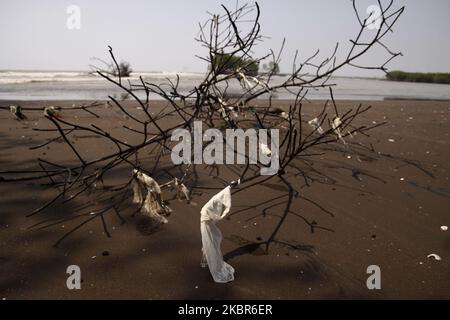 I rifiuti di plastica sono visti scarsi nel tronco di mangrovia dopo essere stati trasportati dalle onde del mare e bloccati a Pantai Bahagia, distretto di Muara Gembong, bekasi regency, provincia di Giava Occidentale, il 13 giugno, 2020. Secondo i rapporti di ricerca dell'Istituto indonesiano delle scienze (LIPI), pubblicati nel 2018, la quantità di rifiuti di plastica nel mare indonesiano raggiunge le 100,000 - 400,000 tonnellate all'anno, con una distribuzione costiera media di circa 1,71 pezzi per metro quadrato con un peso medio di 46,55 grammi per metro quadrato. Mentre il più alto spreco medio di plastica è stato trovato sulla costa di Sulawesi, rea Foto Stock