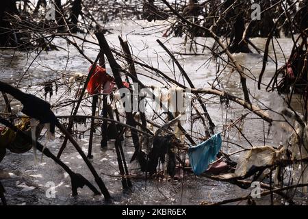 I rifiuti di plastica sono visti scarsi nel tronco di mangrovia dopo essere stati trasportati dalle onde del mare e bloccati a Pantai Bahagia, distretto di Muara Gembong, bekasi regency, provincia di Giava Occidentale, il 13 giugno, 2020. Secondo i rapporti di ricerca dell'Istituto indonesiano delle scienze (LIPI), pubblicati nel 2018, la quantità di rifiuti di plastica nel mare indonesiano raggiunge le 100,000 - 400,000 tonnellate all'anno, con una distribuzione costiera media di circa 1,71 pezzi per metro quadrato con un peso medio di 46,55 grammi per metro quadrato. Mentre il più alto spreco medio di plastica è stato trovato sulla costa di Sulawesi, rea Foto Stock