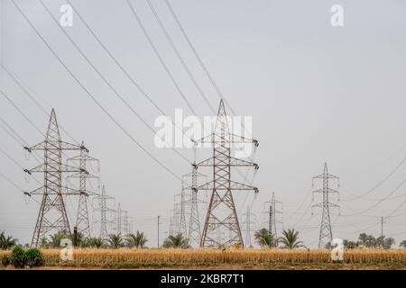 Piloni elettrici ad alta tensione circondati da palme sulla riva del fiume Nilo, Egitto Foto Stock