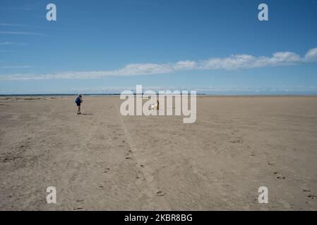 Il deserto-come la baia del fiume Somme a metà giugno nel bel mezzo della giornata. Cayeux-sur-Mer, Francia, 13 giugno 2020. (Foto di Andrea Savorani Neri/NurPhoto) Foto Stock