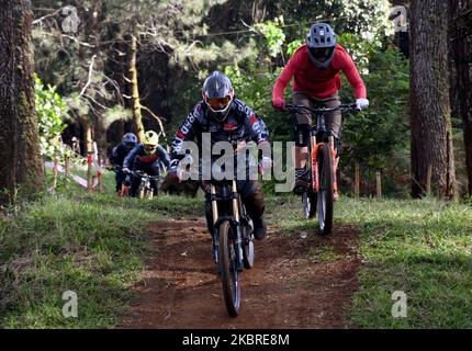 I ciclisti di montagna si prendono parte alla pista del parco ciclabile Cilkole, Lembang, Bandung, West Java, il 20,2020 giugno. Da quando la regolamentazione delle restrizioni sociali su larga scala è stata allentata nella regione di Java occidentale, i residenti hanno iniziato le attività sportive seguendo i protocolli sanitari limitando i visitatori per prevenire focolai di trasmissione del virus durante la pandemia. (Foto di Dasril Roszandi/NurPhoto) Foto Stock