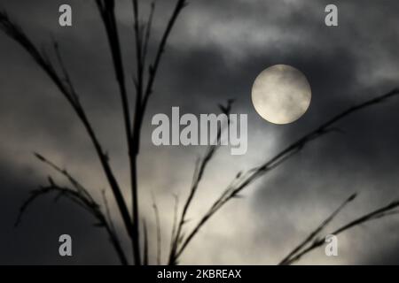 -A Visualizza la scena Sunrise at Country Vill a Sangju, Corea del Sud. La più significativa eclissi solare parziale in otto anni sarà visibile in Corea del Sud la domenica pomeriggio, lasciando poco meno della metà del disco solare visibile, ha detto un museo nazionale della scienza. La luna inizierà a muoversi tra la Terra e il sole alle 3:53, e il transito terminerà alle 6:04, ha affermato il Museo Nazionale della Scienza di Gwachoon. Ha detto alle 5:02 pm l'eclisse annuale raggiungerà il picco, con la luna che oscura il 45 per cento del sole quando è visto dalla maggior parte delle parti della penisola coreana. (Foto di Seung-il Ryu/NurPhoto Foto Stock