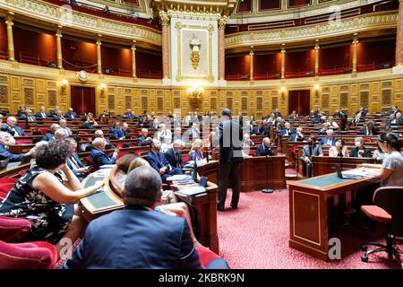 Il ministro francese dell'Agricoltura Didier Guillaume interviene durante una sessione di interrogazioni al governo al Senato francese - 24 giugno 2020, Parigi (Foto di Daniel Pier/NurPhoto) Foto Stock