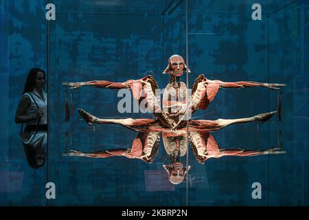 Milan, Italy - November 4, 2022: a visitor looks  at the Body Worlds – The Rhythm Of Life exhibition curated by plastinator Dr Gunther von Hagens and curator Dr Angelina Whalley at Stazione di Milano Centrale displaying real specimens demonstrating the complexity, resilience and vulnerability of the human body. Foto Stock