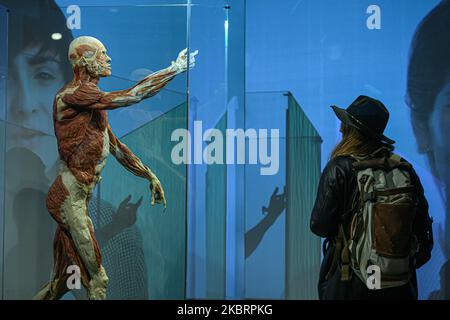 Milan, Italy - November 4, 2022: a visitor looks at the Body Worlds – The Rhythm Of Life exhibition curated by plastinator Dr Gunther von Hagens and curator Dr Angelina Whalley at Stazione di Milano Centrale displaying real specimens demonstrating the complexity, resilience and vulnerability of the human body. Foto Stock