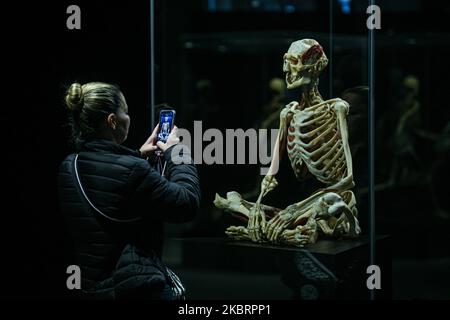 Milano, Italia - 4 novembre 2022: Un visitatore scatta una foto alla mostra The Body Worlds – The Rhythm of Life a cura del plastinator Dr Gunther von Hagens e della curatrice Dr Angelina Whalley alla Stazione di Milano Centrale, che mostra esemplari reali che dimostrano la complessità, la resilienza e la vulnerabilità del corpo umano. Foto Stock