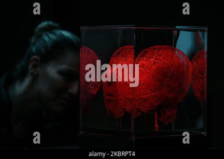 Milan, Italy - November 4, 2022: a visitor looks at the Body Worlds – The Rhythm Of Life exhibition curated by plastinator Dr Gunther von Hagens and curator Dr Angelina Whalley at Stazione di Milano Centrale displaying real specimens demonstrating the complexity, resilience and vulnerability of the human body. Foto Stock