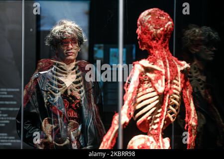 Milano, Italia - 4 novembre 2022: Un visitatore si riflette in uno specchio della mostra The Body Worlds – The Rhythm of Life a cura del plastinator Dr Gunther von Hagens e della curatrice Dr Angelina Whalley alla Stazione di Milano Centrale, che espone veri esemplari che dimostrano la complessità, la resilienza e la vulnerabilità del corpo umano. Foto Stock