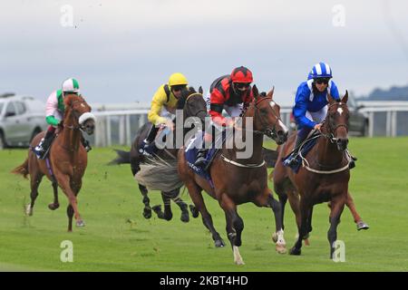 Inhaler con il jockey BA Curtis battaglia con Mutazawwed e Jim Crowley su Epsom Downs, a sud di Londra il 4 luglio 2020 durante gli investimenti Woodcote EBF Stakes ed è stato contestato da porte chiuse a causa della pandemia COVID-19 (Foto di Jon Bromley/MI News/NurPhoto) Foto Stock