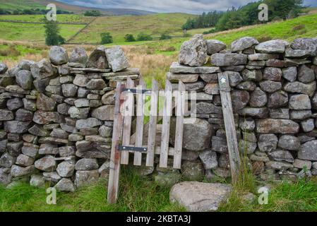 Cancello di legno su un percorso escursionistico nel Yorkshire Dales, Inghilterra, Regno Unito. Foto Stock