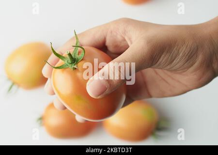 primo piano della mano che tiene un pomodoro maturo con fondo sfocato, bacche commestibili isolate su bianco, fuoco selettivo Foto Stock