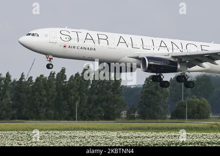 Aereo Air Canada Airbus A330 con la squadra di aviazione Star Alliance particolare aspetto livrea come visto arrivare in arrivo sul finale di avvicinamento volare, atterraggio e toccare giù sulla pista a Schiphol AMS EHAM International Airport nei Paesi Bassi, il 2 luglio 2020. L'aereo a fusoliera larga che vola transatlantico è un Airbus A330-300 con registrazione C-GEGI, con 2x motori a getto RR Rolls Royce. L'aereo è convertito e sta volando come trasporto merci di carico dal Canada all'Europa e indietro con una configurazione di 6 posti dell'equipaggio, a causa della pandemia di Coronavirus di Covid-19. (Foto di Nicolas Foto Stock