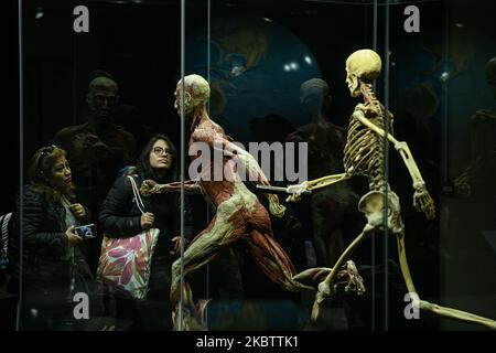 Milano, Italia. 04th Nov 2022. Milano, Italia - 4 novembre 2022: Visitatori della mostra Body Worlds - The Rhythm of Life a cura del plastinator Dr Gunther von Hagens e della curatrice Dr Angelina Whalley alla Stazione di Milano Centrale, che espone esemplari reali che dimostrano la complessità, la resilienza e la vulnerabilità del corpo umano. (Foto di Piero Crociatti/Sipa USA) Credit: Sipa USA/Alamy Live News Foto Stock