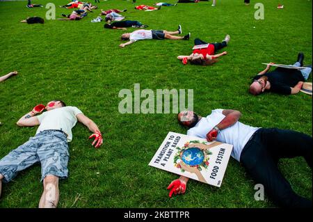 Gli attivisti del clima stanno compiendo un'azione "Die-in", durante un'azione "Blood on Your Hands" di ribellione degli animali, che si svolge ad Amsterdam il 18th luglio 2020. (Foto di Romy Arroyo Fernandez/NurPhoto) Foto Stock