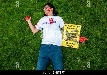 Gli attivisti del clima stanno compiendo un'azione "Die-in", durante un'azione "Blood on Your Hands" di ribellione degli animali, che si svolge ad Amsterdam il 18th luglio 2020. (Foto di Romy Arroyo Fernandez/NurPhoto) Foto Stock