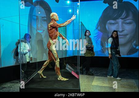 Milano, Italia. 04th Nov 2022. Milano, Italia - 4 novembre 2022: Visitatori della mostra Body Worlds - The Rhythm of Life a cura del plastinator Dr Gunther von Hagens e della curatrice Dr Angelina Whalley alla Stazione di Milano Centrale, che espone esemplari reali che dimostrano la complessità, la resilienza e la vulnerabilità del corpo umano. (Foto di Piero Crociatti/Sipa USA) Credit: Sipa USA/Alamy Live News Foto Stock