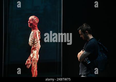 Milano, Italia. 04th Nov 2022. Milano, Italia - 4 novembre 2022: Visitatori della mostra Body Worlds - The Rhythm of Life a cura del plastinator Dr Gunther von Hagens e della curatrice Dr Angelina Whalley alla Stazione di Milano Centrale, che espone esemplari reali che dimostrano la complessità, la resilienza e la vulnerabilità del corpo umano. (Foto di Piero Crociatti/Sipa USA) Credit: Sipa USA/Alamy Live News Foto Stock