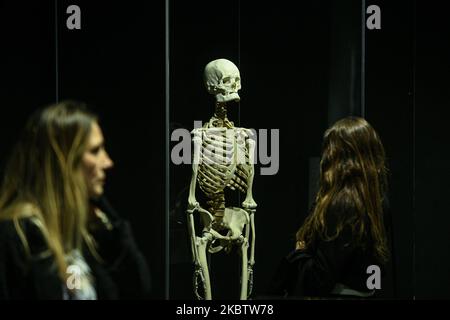 Milano, Italia. 04th Nov 2022. Milano, Italia - 4 novembre 2022: Visitatori della mostra Body Worlds - The Rhythm of Life a cura del plastinator Dr Gunther von Hagens e della curatrice Dr Angelina Whalley alla Stazione di Milano Centrale, che espone esemplari reali che dimostrano la complessità, la resilienza e la vulnerabilità del corpo umano. (Foto di Piero Crociatti/Sipa USA) Credit: Sipa USA/Alamy Live News Foto Stock