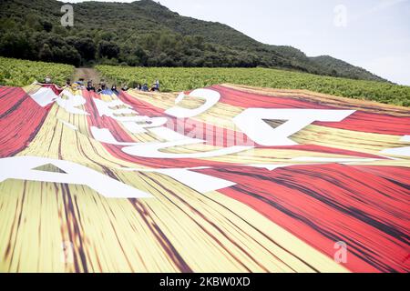 Migliaia di persone pro-indipendenza e repubblicane dimostrano e affrontano la polizia nei vigneti che circondano il monastero di Poblet durante la visita del re Felipe VI di Spagna e della regina Letizia. Con lo slogan ''la Catalogna non ha re'', i separatisti catalani volevano arrivare al punto in cui era il capo della Spagna. A Poblet, Catalogna, Spagna, il 20 luglio 2020. (Foto di Albert Llop/NurPhoto) Foto Stock