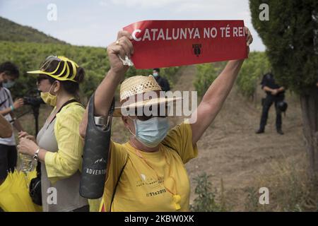 Migliaia di persone pro-indipendenza e repubblicane dimostrano e affrontano la polizia nei vigneti che circondano il monastero di Poblet durante la visita del re Felipe VI di Spagna e della regina Letizia. Con lo slogan ''la Catalogna non ha re'', i separatisti catalani volevano arrivare al punto in cui era il capo della Spagna. A Poblet, Catalogna, Spagna, il 20 luglio 2020. (Foto di Albert Llop/NurPhoto) Foto Stock