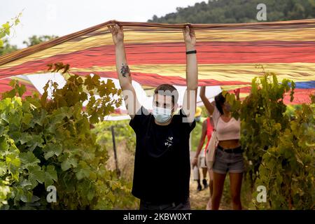 Migliaia di persone pro-indipendenza e repubblicane dimostrano e affrontano la polizia nei vigneti che circondano il monastero di Poblet durante la visita del re Felipe VI di Spagna e della regina Letizia. Con lo slogan ''la Catalogna non ha re'', i separatisti catalani volevano arrivare al punto in cui era il capo della Spagna. A Poblet, Catalogna, Spagna, il 20 luglio 2020. (Foto di Albert Llop/NurPhoto) Foto Stock