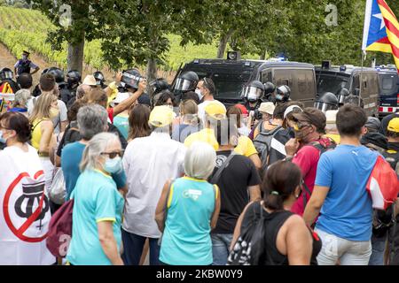 Migliaia di persone pro-indipendenza e repubblicane dimostrano e affrontano la polizia nei vigneti che circondano il monastero di Poblet durante la visita del re Felipe VI di Spagna e della regina Letizia. Con lo slogan ''la Catalogna non ha re'', i separatisti catalani volevano arrivare al punto in cui era il capo della Spagna. A Poblet, Catalogna, Spagna, il 20 luglio 2020. (Foto di Albert Llop/NurPhoto) Foto Stock