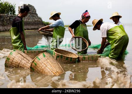 Dali, Cina, il 2 settembre 2011. I pescatori scaricano le loro reti nel villaggio di Shuanglang Zhen nella provincia dello Yunnan. Dali, Chine, le 2 settembre 2011. Des pecheurs sur les berges du lac erhai dans le village de Shuanglang Zhen dans la Province du Yunnan. (Foto di Emeric Fohlen/NurPhoto) (Foto di Emeric Fohlen/NurPhoto) Foto Stock