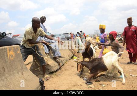 I venditori arrivano con arieti e capre in vendita per il festival di Eid al-Adha al mercato di Kara Isheri nello Stato di Ogun, nella Nigeria sud-occidentale, in vista del festival musulmano di Eid al-Ada il 29 luglio 2020. Presidente della Nigeria, Muhammadu Buhari mercoledì ha imposto rigide restrizioni di movimento in tutto il paese per fermare la diffusione della malattia di coronavirus COVID-19, yearâ osservare le preghiere di Eid-el-Kabir di questo con i suoi familiari all'interno della Villa Presidenziale, Abuja. Prima della pandemia COVID-19, Buhari di solito si unisce ai musulmani per le preghiere di Eid in qualsiasi luogo di preghiera in Abuja ogni volta Foto Stock